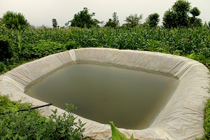 rainwater harvesting pond