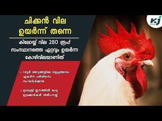 Chicken prices are high; Price per kg increased to Rs 280 _ Chicken Price Hike _ Summer _ Bird flu _