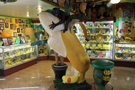 banana museum