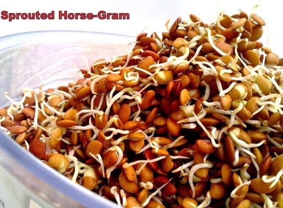 sprouted horse gram