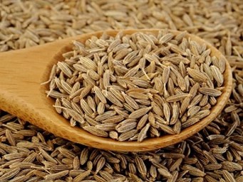 cumin