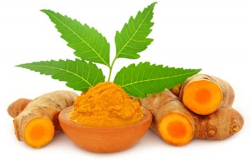 turmeric and neem