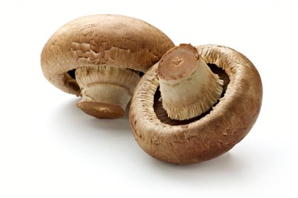 mushroom