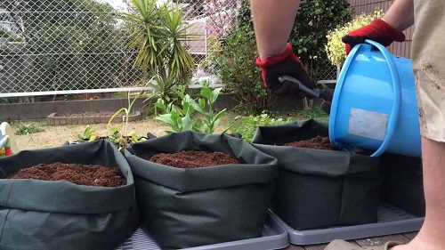 how to fill grow bag