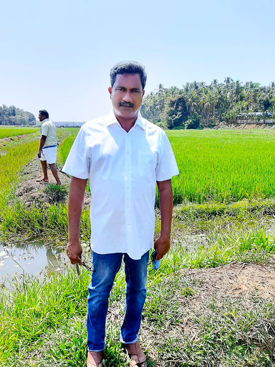 അബ്ദുൾ ലത്തീഫ് കോലൊളമ്പ് കൃഷിയിടത്തിൽ