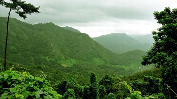 Haritha tribunal