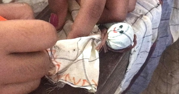 chekutty doll