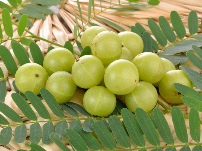Gooseberry - Amla