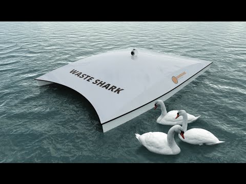 waste shark, dubai