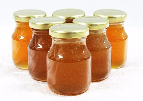 stingless bee honey