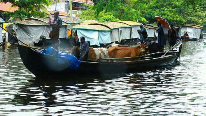 flood in kerala