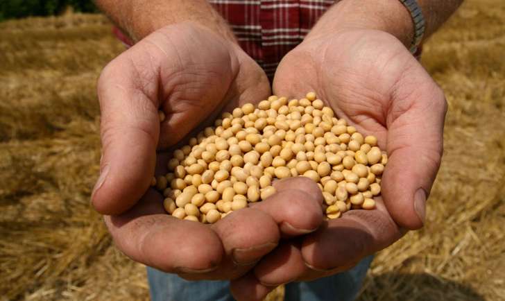 seed labs to be set up