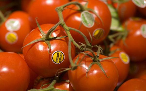 tomato