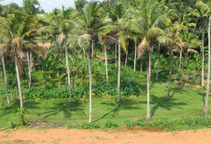 kera gramam