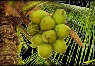 keragramam