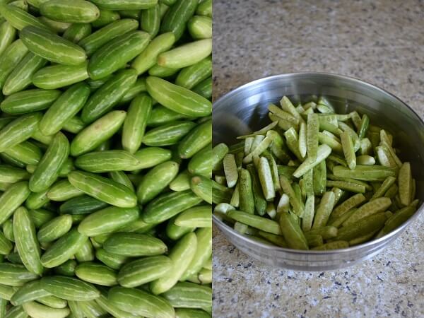 ivy gourd