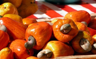 cashew fruit