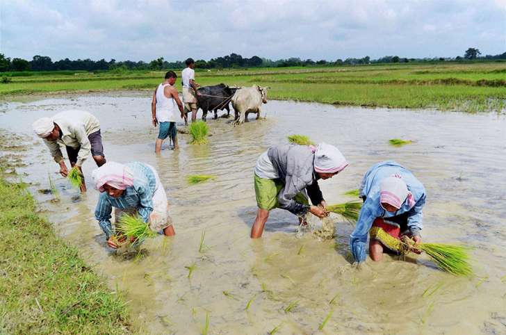 farmers
