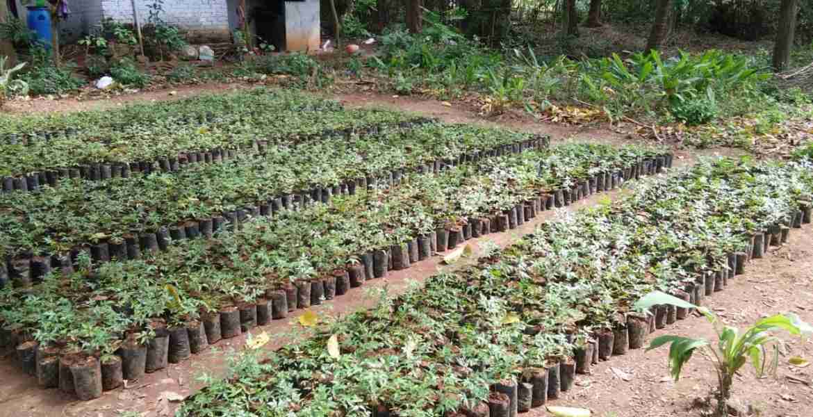 Grihachaithanya project