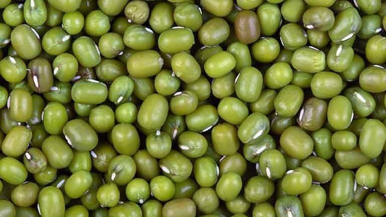 Green gram