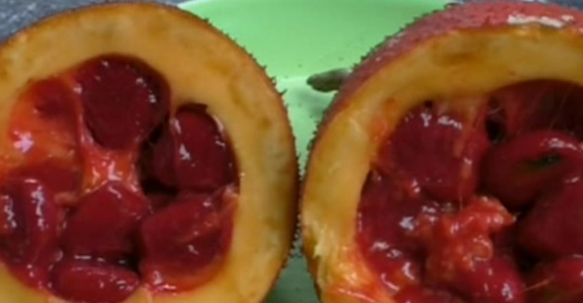 gag fruit
