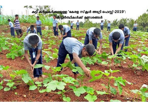agrifest