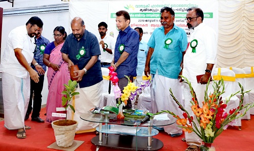 vasuki pharmacy