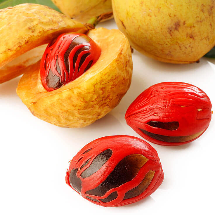 nutmeg shell