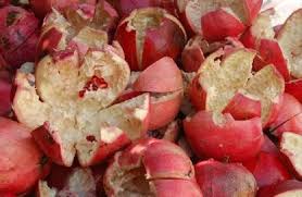 pomo peels