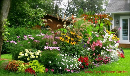 amazing home garden