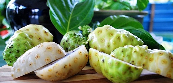 noni fruit