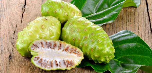 noni fruit for health