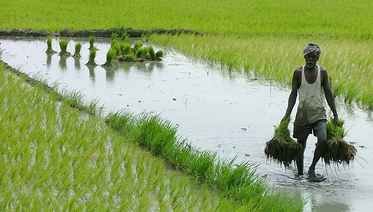 agriculture loans