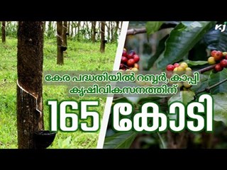 165 crore for the development of rubber and coffee cultivation in Kerala under the Kera project Kerascheme | KAU | keralaweather |