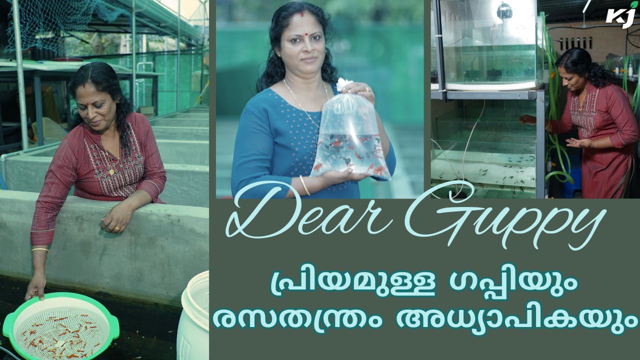 Dear Guppy: പ്രിയമുള്ള ഗപ്പിയും രസതന്ത്രം അധ്യാപികയും